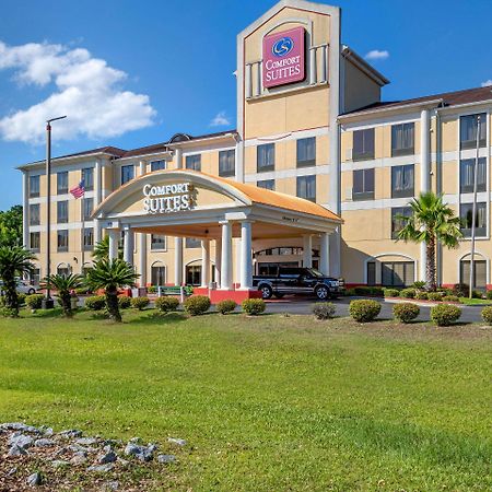 Comfort Suites Savannah Gateway I-95 Buitenkant foto